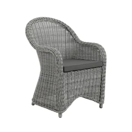 Paulina fåtölj grå inkl. grå dyna