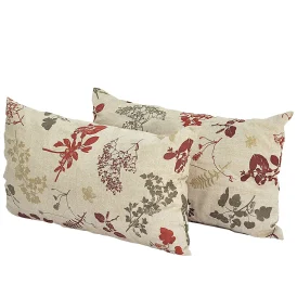 Sidokuddar 1 par Nature