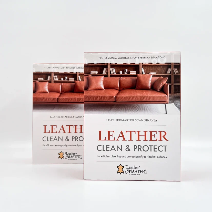 Leather Clean & Protect kit