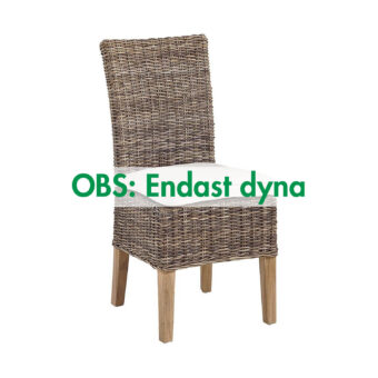 Bild på Fara stol med texten "Endast dyna".