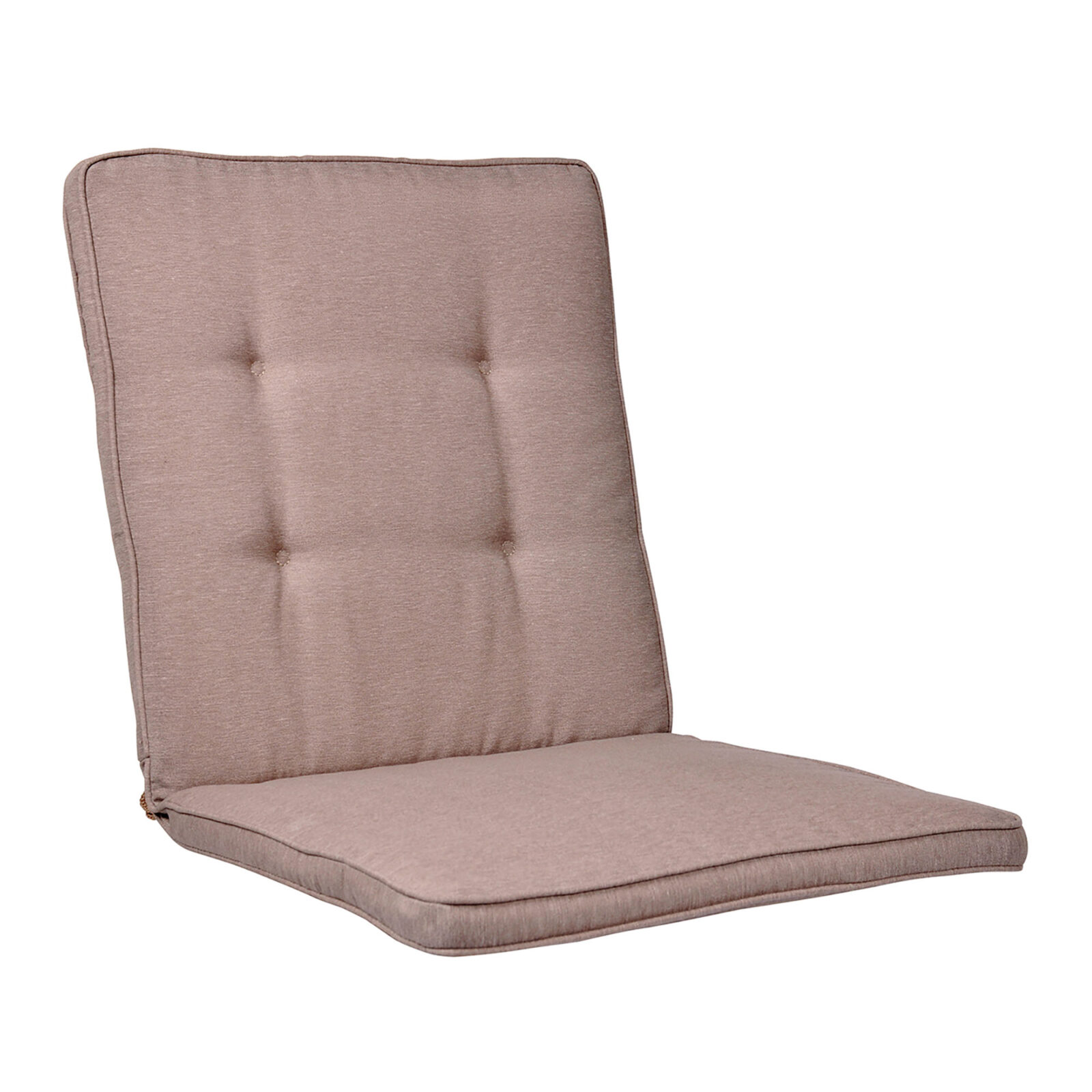Basis Universaldyna taupe