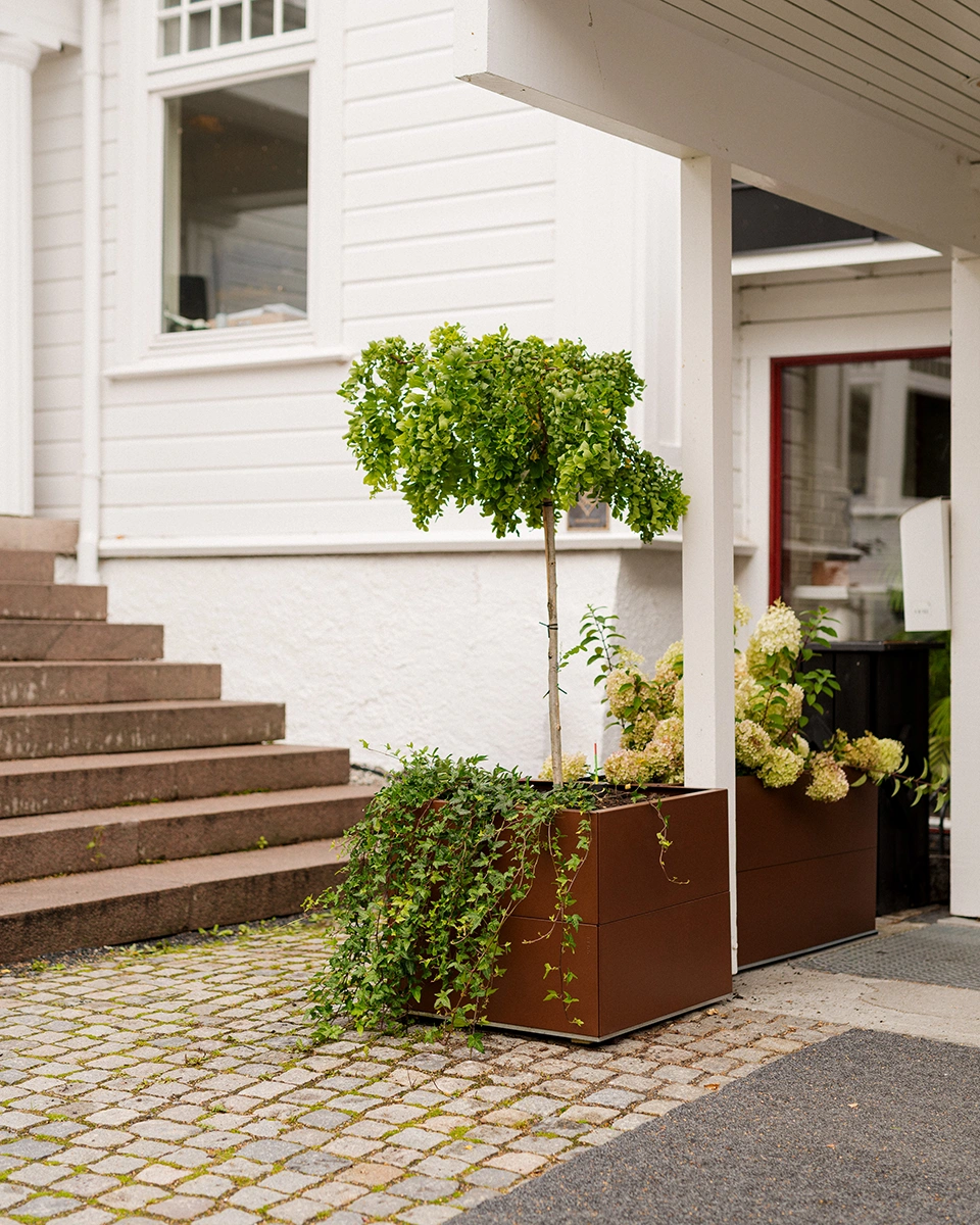 BEDD odlingslåda med ben/hjul, Rostlack 60x60x50 cm