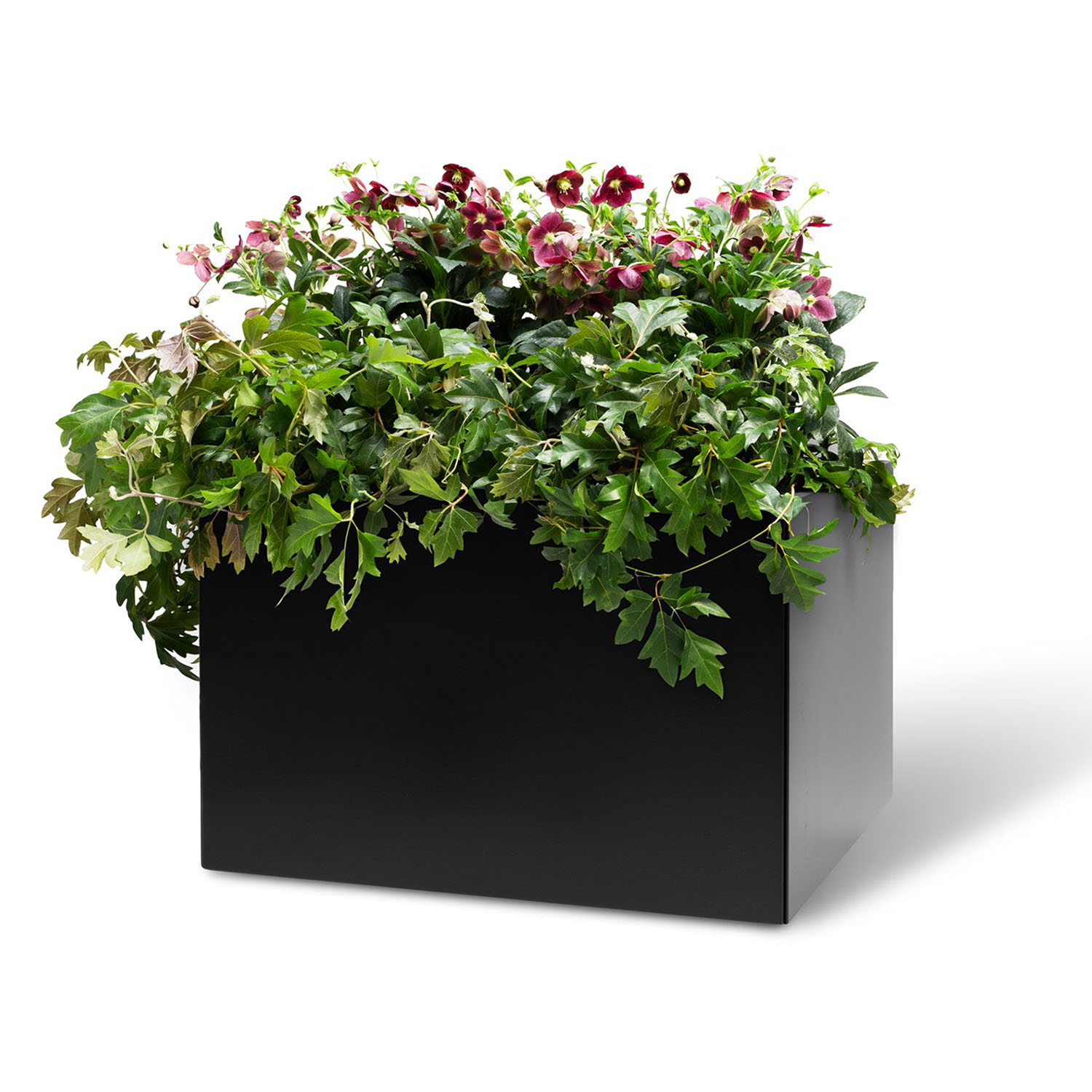 BEDD paneler svartlack 60x40 cm, 4-pack