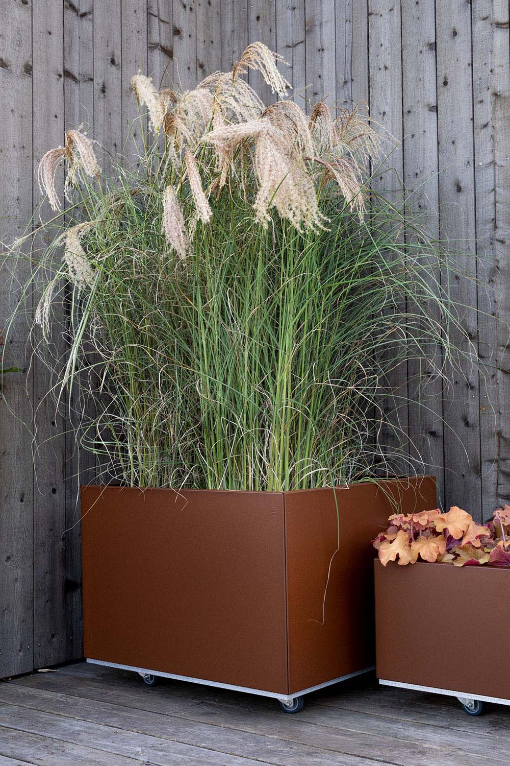 BEDD odlingslåda, Rostlack 60x60x50 cm