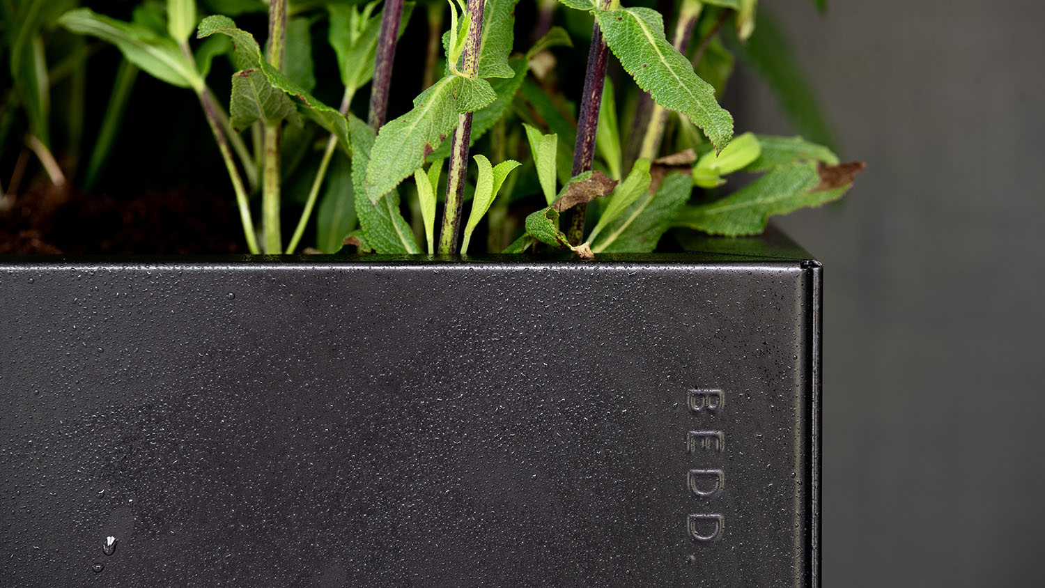 BEDD odlingslåda, Svart 60x60x50 cm