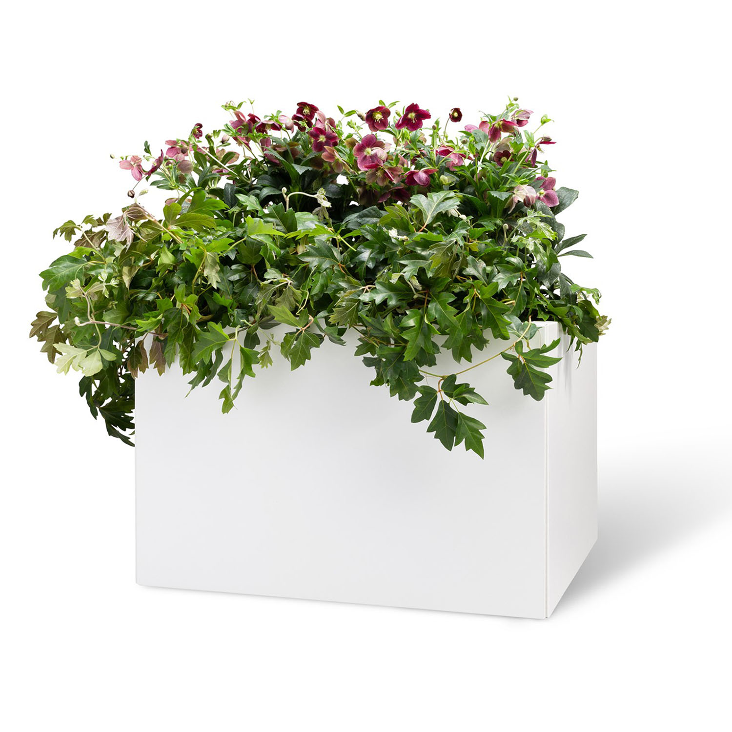 BEDD odlingslåda, Vit 60x60x40 cm