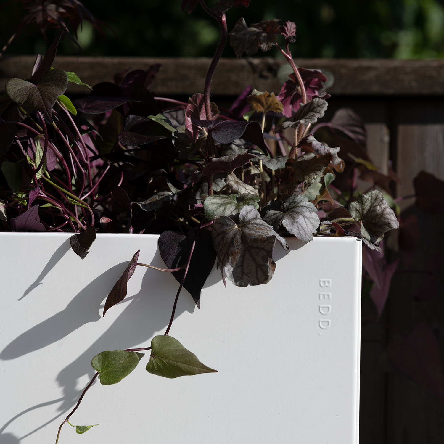 BEDD odlingslåda, Vit 60x60x50 cm