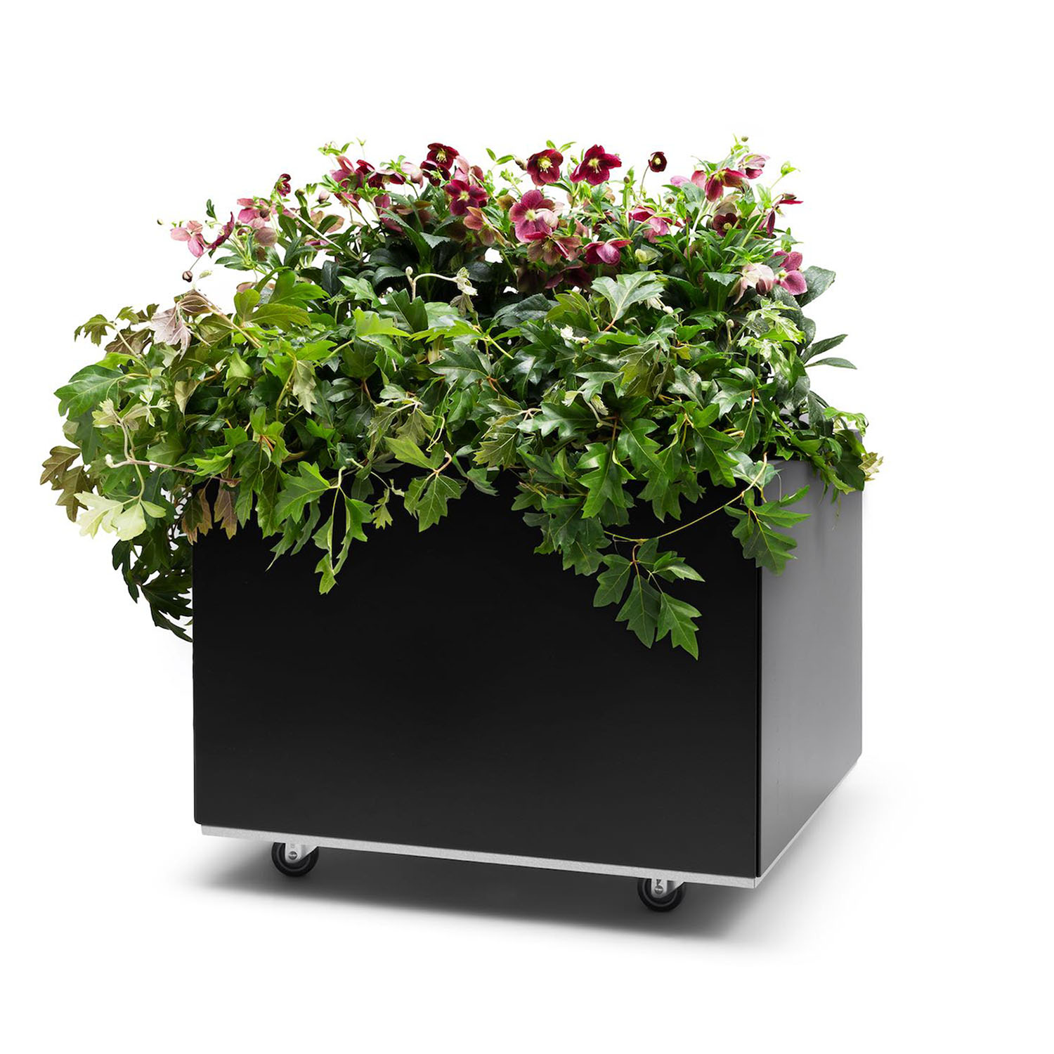 BEDD odlingslåda med ben/hjul, Svart 60x60x40 cm