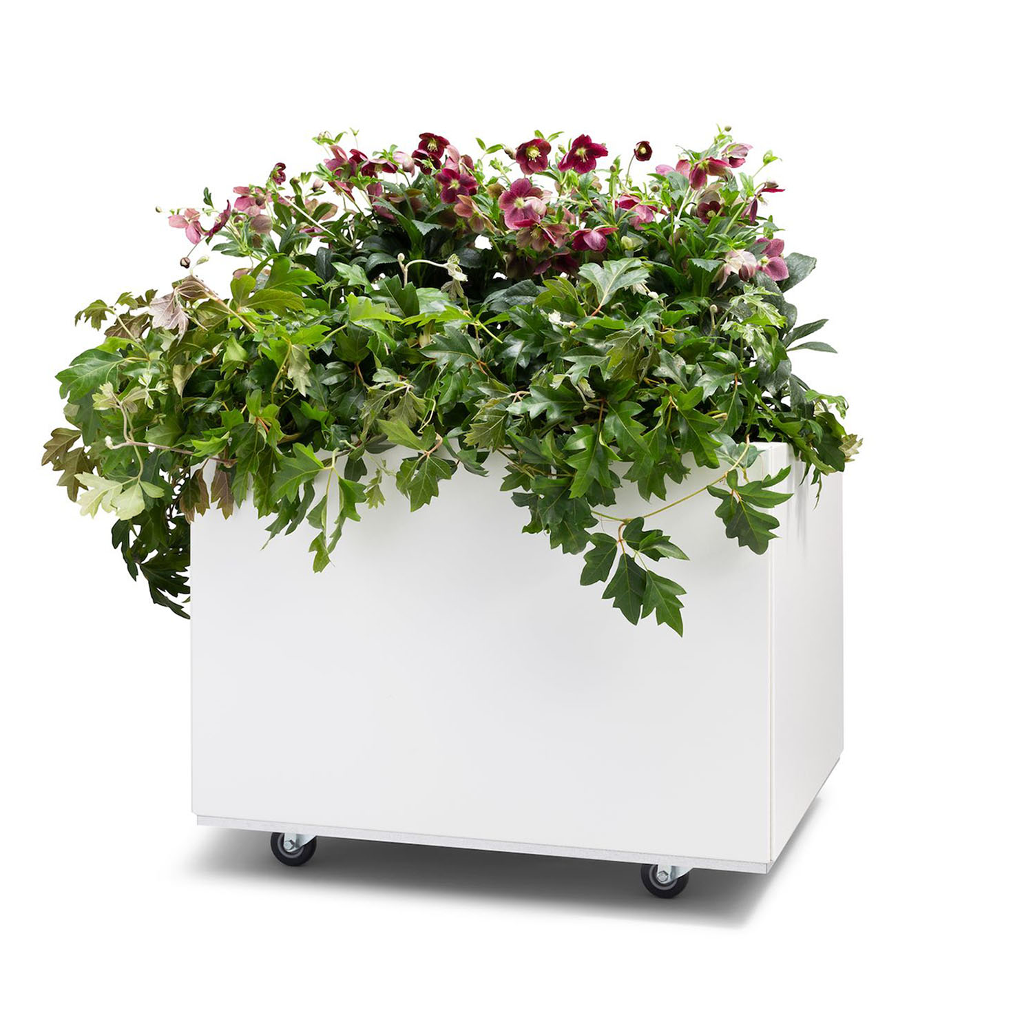 BEDD odlingslåda med ben/hjul, Vit 60x60x40 cm
