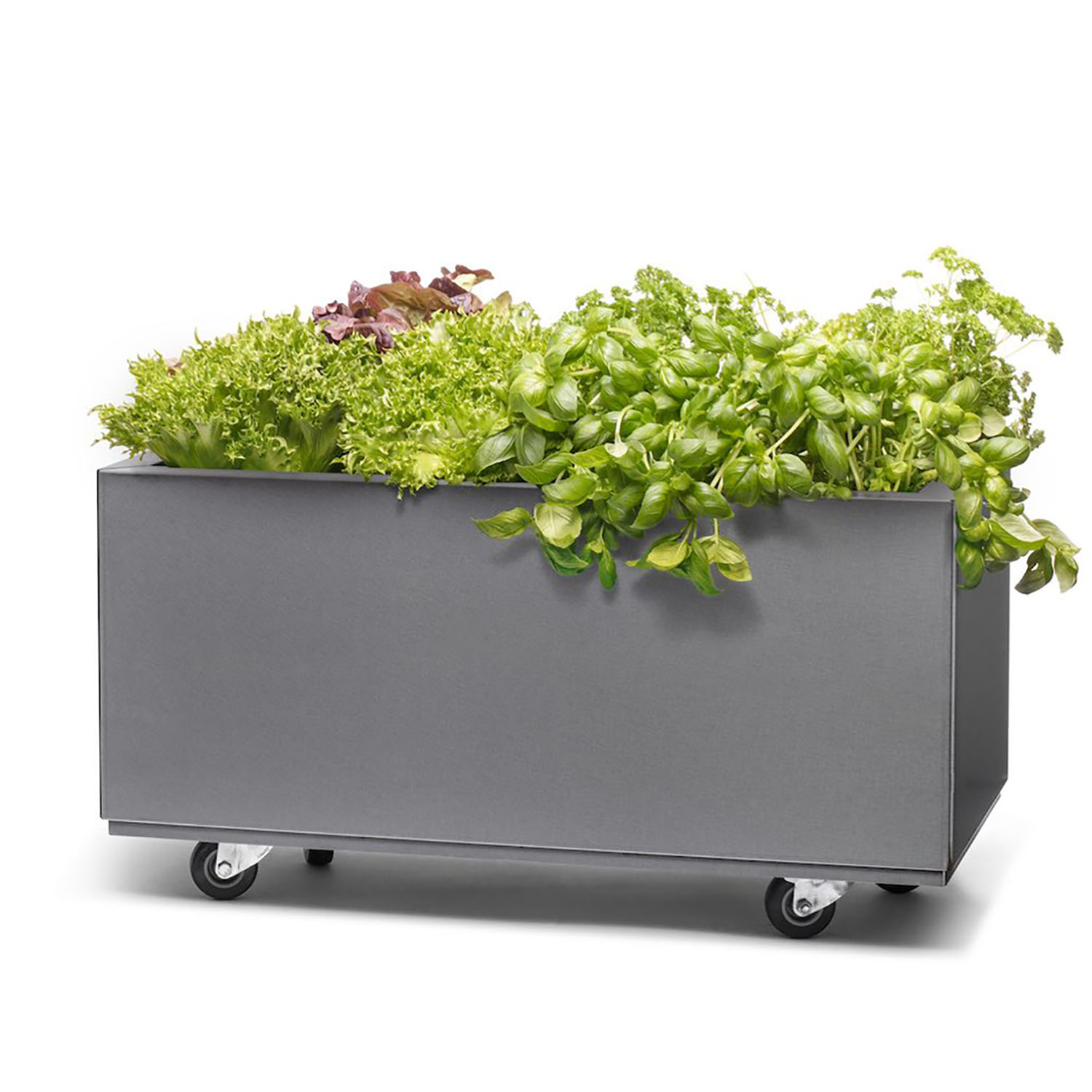 BEDD odlingslåda med hjul, Grå 60x30x25 cm