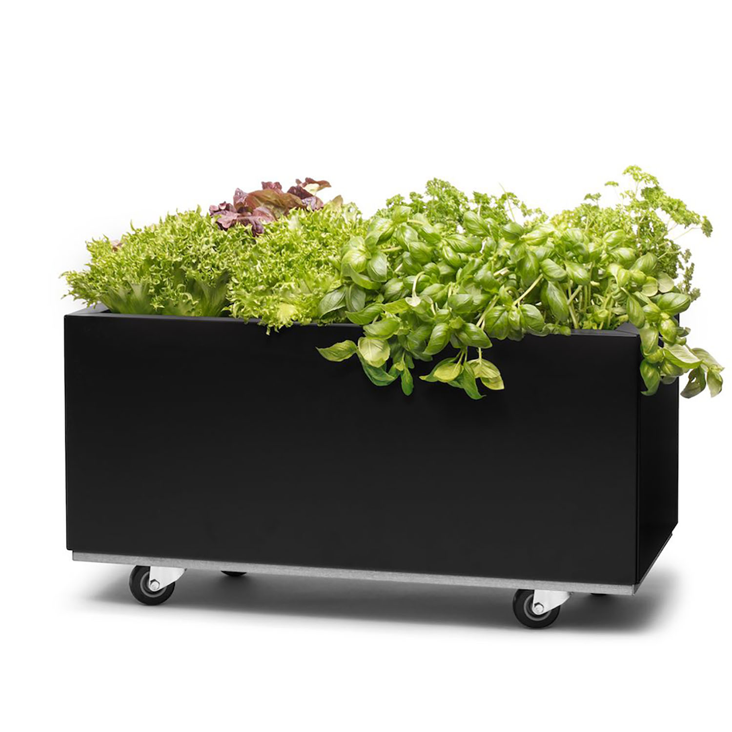 BEDD odlingslåda med hjul, Svart 60x30x25 cm