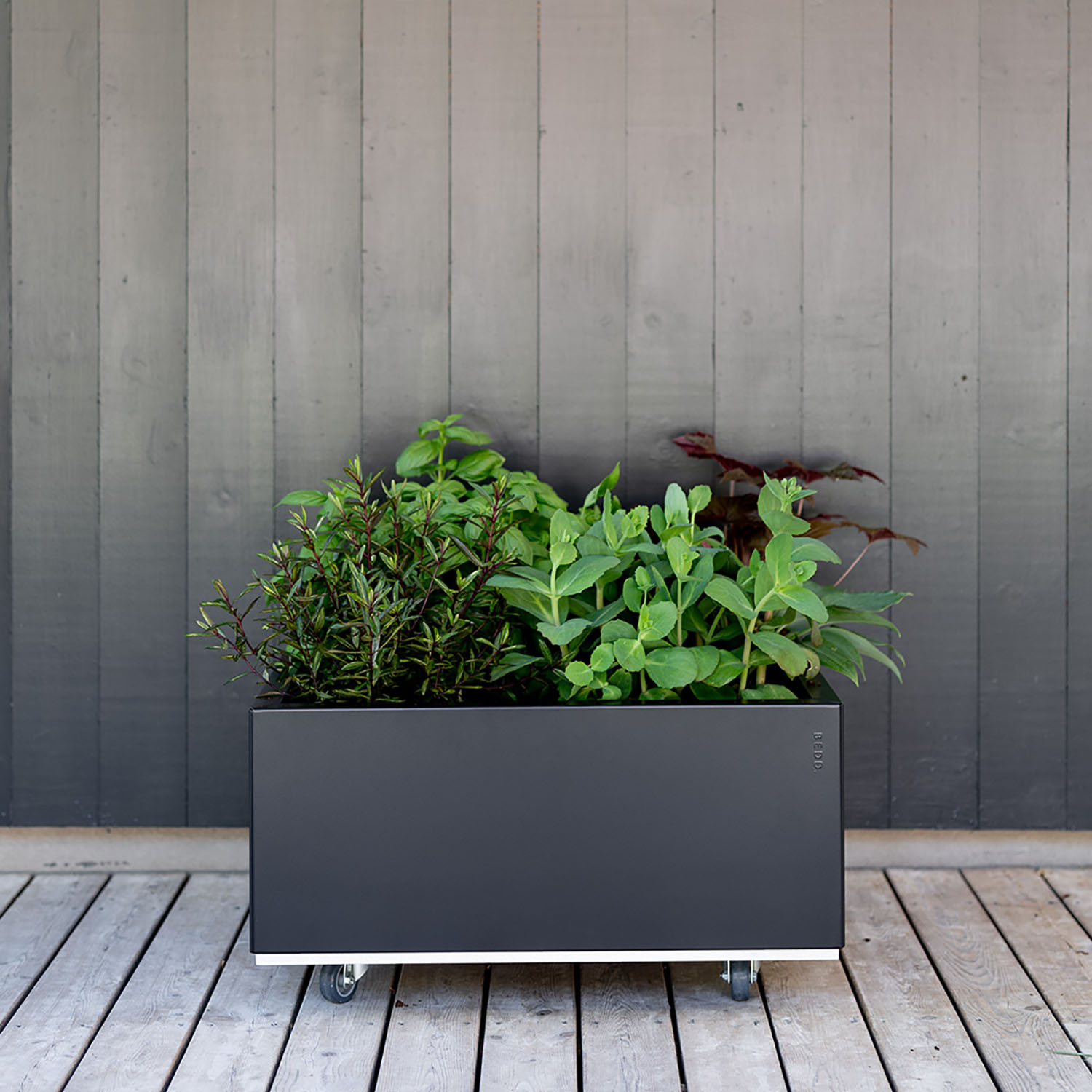 BEDD odlingslåda, Svart 60x60x25 cm