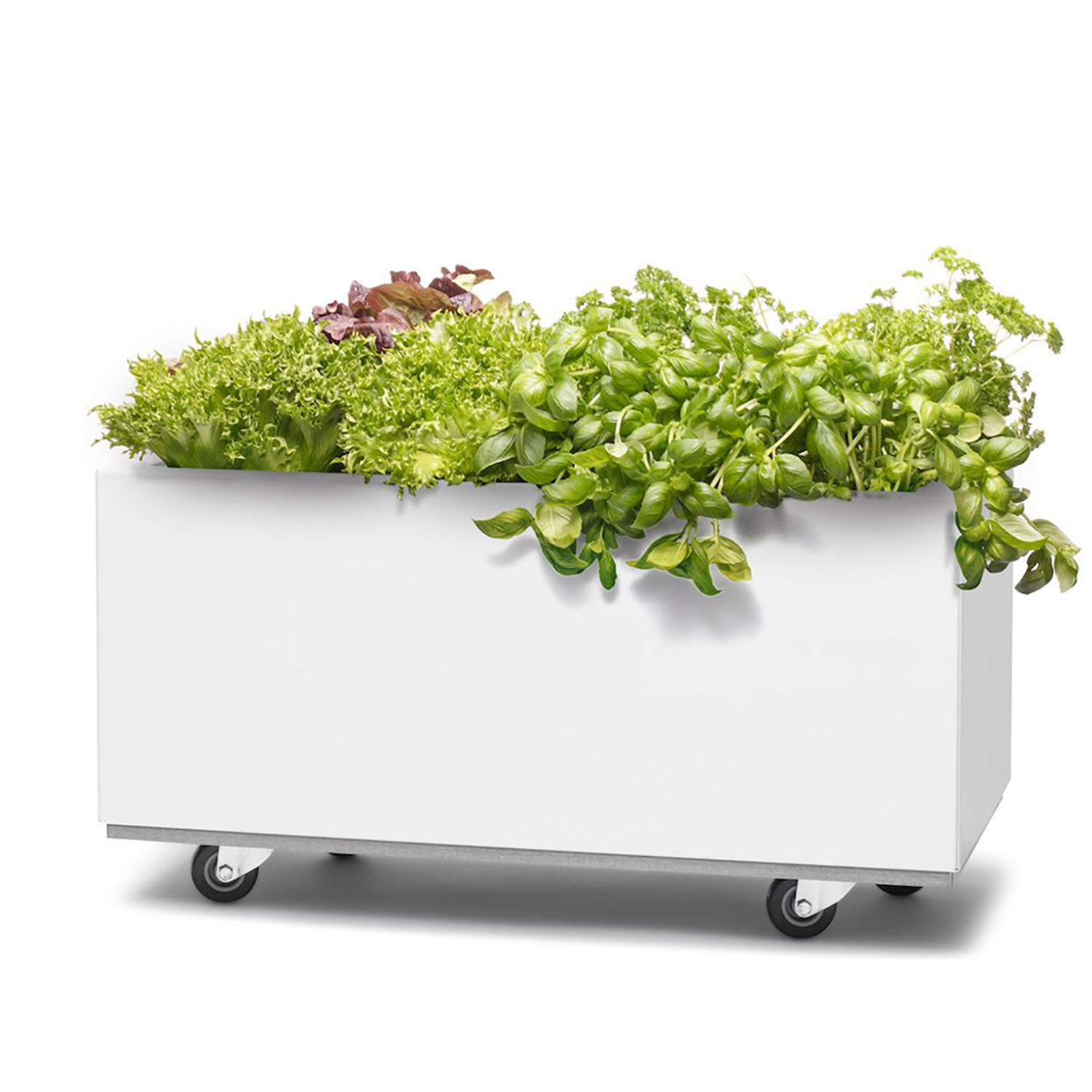 BEDD odlingslåda med hjul, Vit 60x30x25 cm
