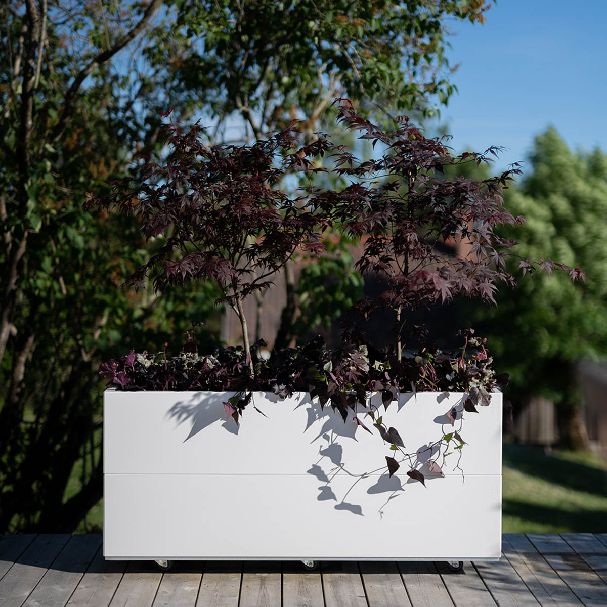 BEDD odlingslåda, Vit 120x40x50 cm