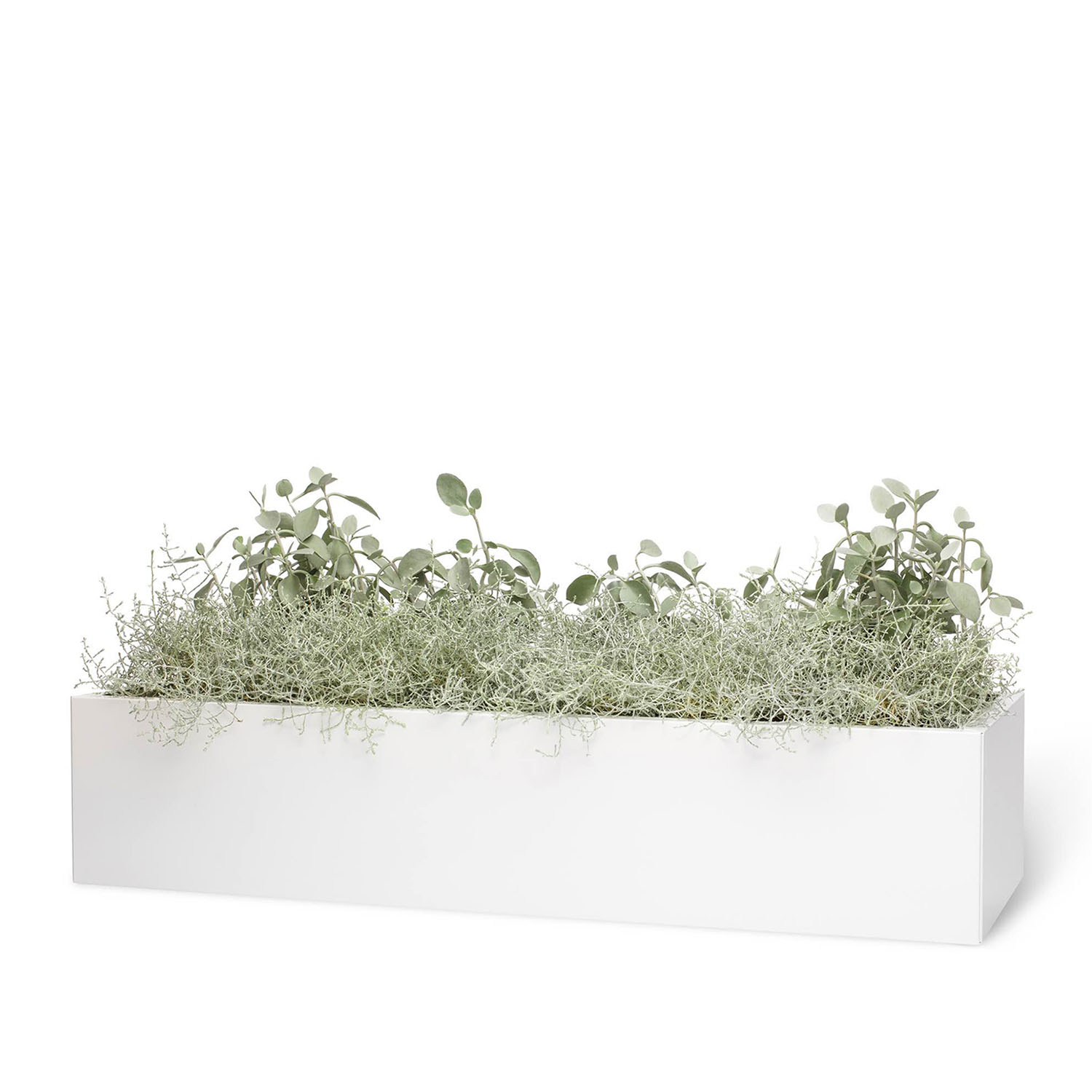 BEDD odlingslåda, Vit 120x40x25 cm