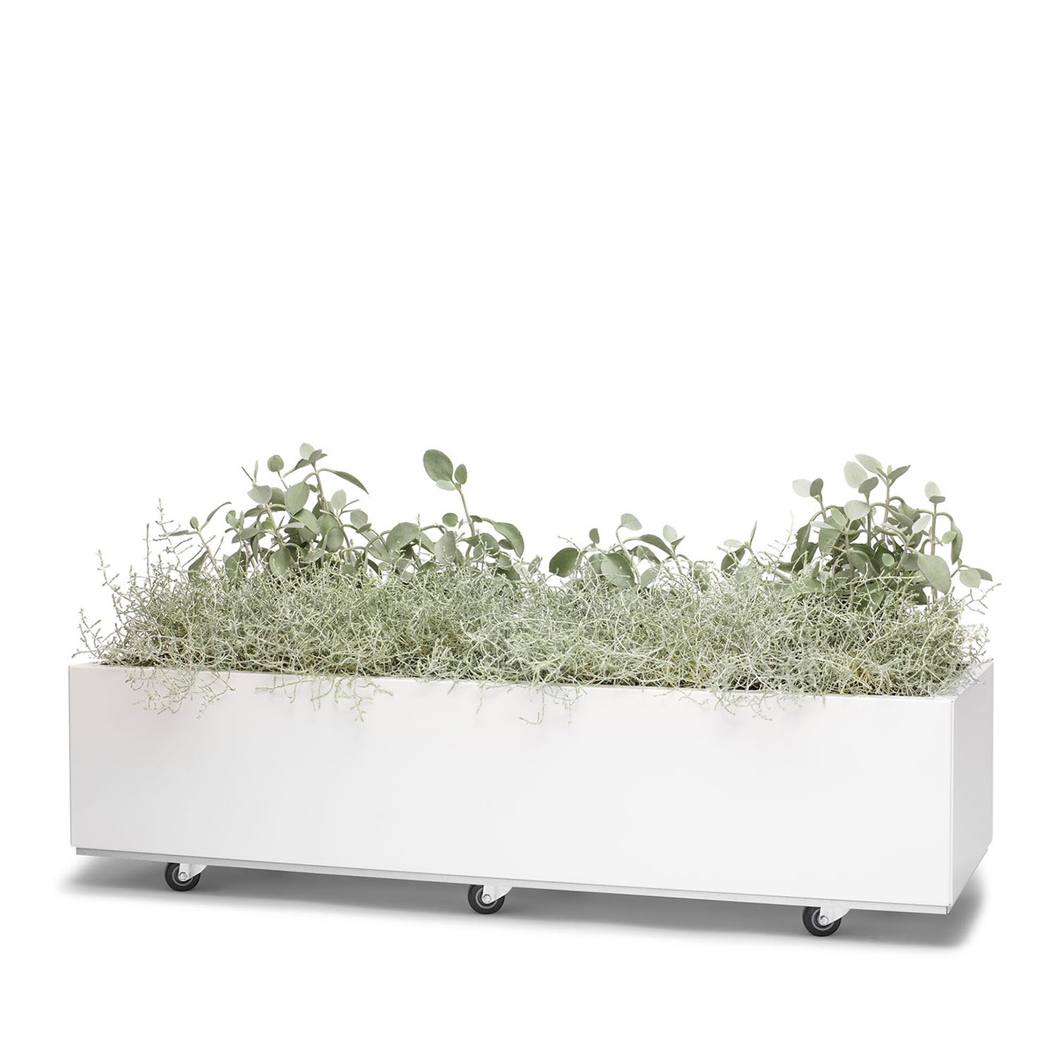 BEDD odlingslåda med hjul/ben, Vit 120x40x25 cm