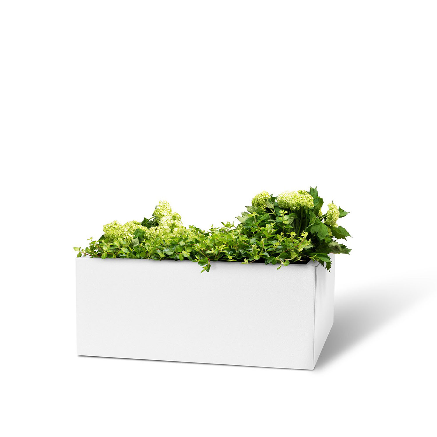 BEDD odlingslåda, Vit 60x60x25 cm