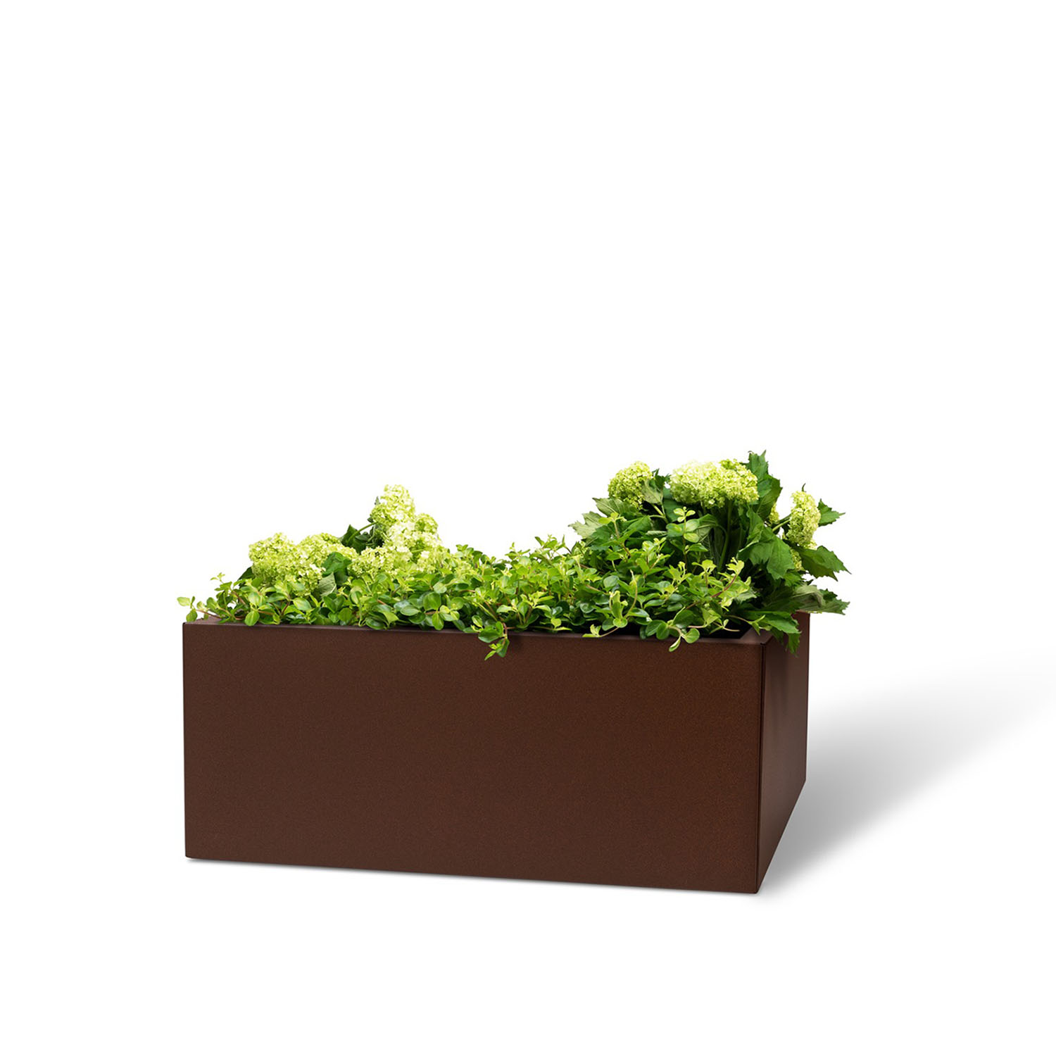 BEDD odlingslåda, Rostlack 60x60x25 cm