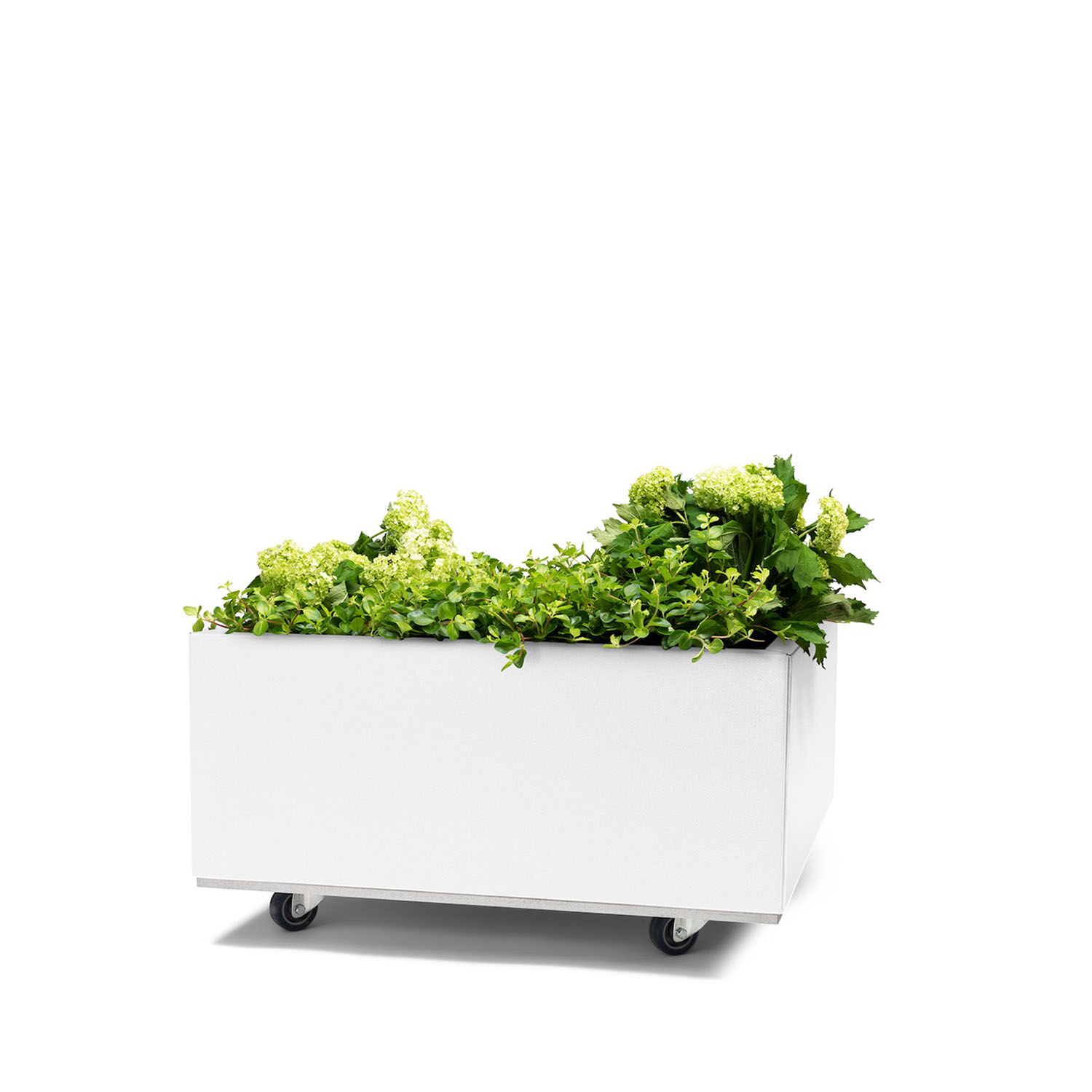 BEDD odlingslåda med ben/hjul, Vit 60x60x25 cm