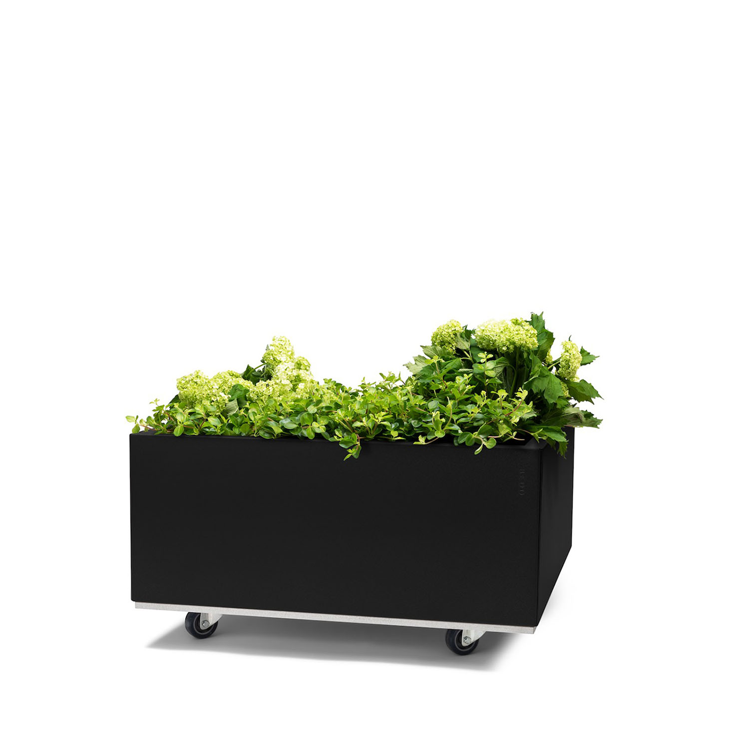 BEDD odlingslåda med ben/hjul, Svart 60x60x25 cm
