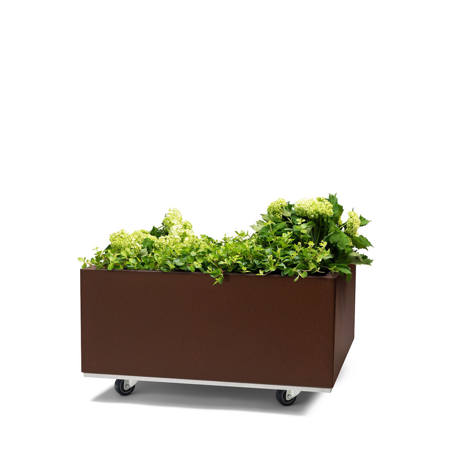 BEDD odlingslåda med ben/hjul, Rostlack 60x60x25 cm
