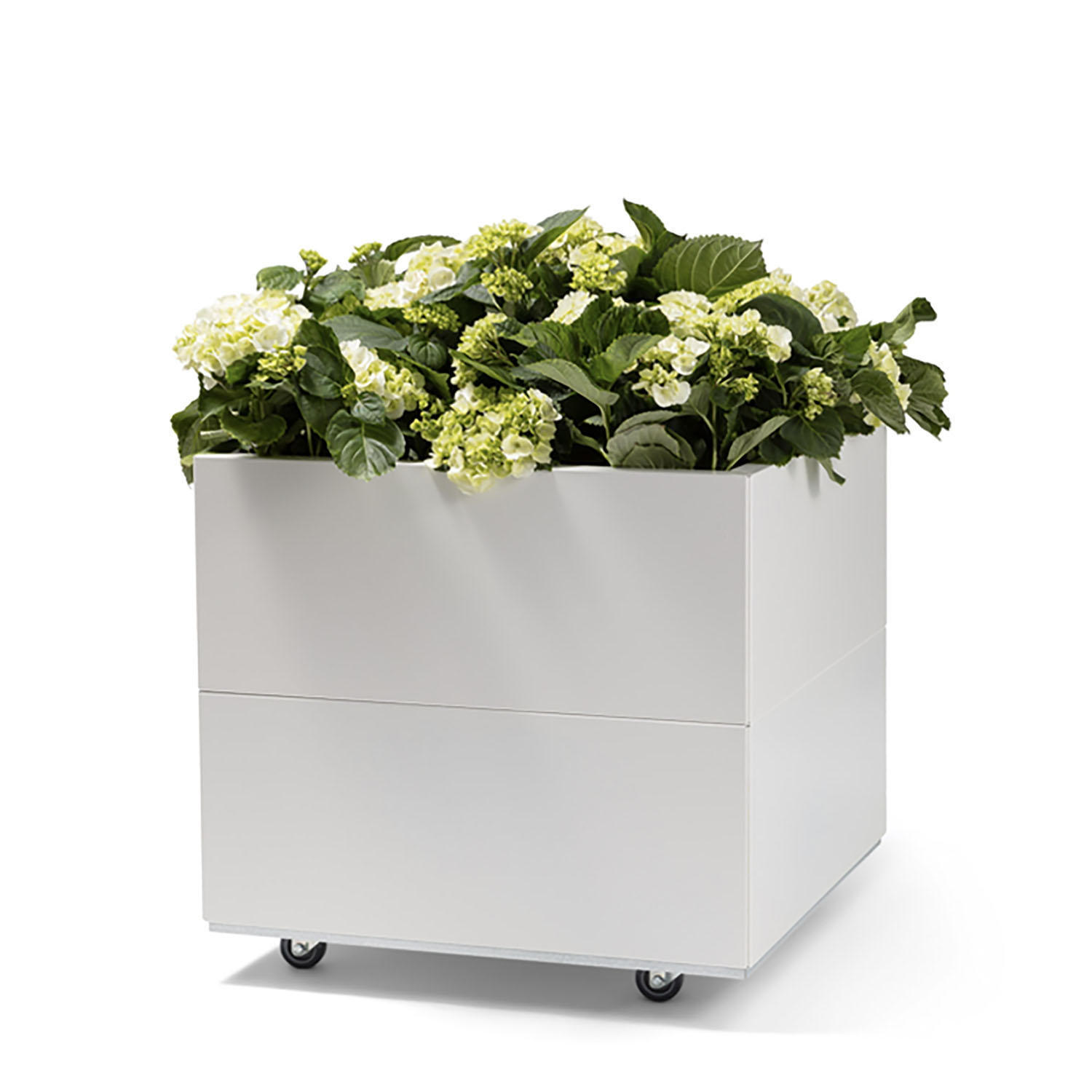 BEDD odlingslåda med ben/hjul, Vit 60x60x50 cm