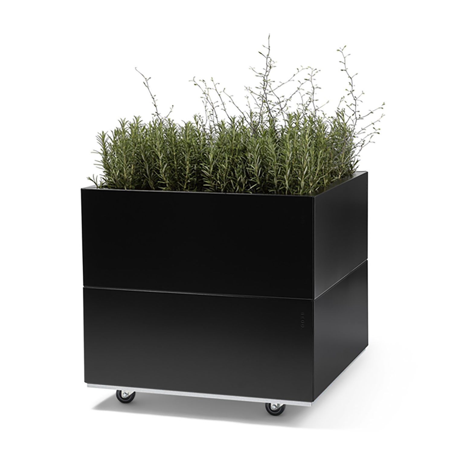 BEDD odlingslåda med ben/hjul, Svart 60x60x50 cm