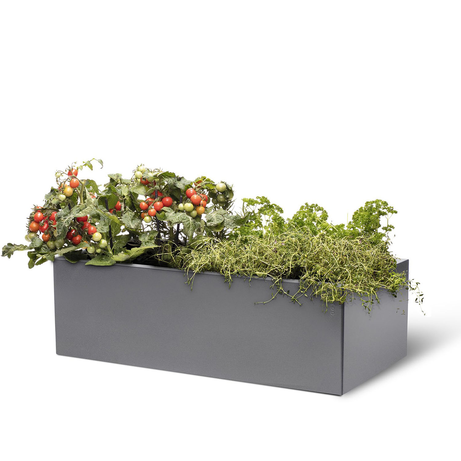 BEDD odlingslåda, Grå 80x40x25 cm