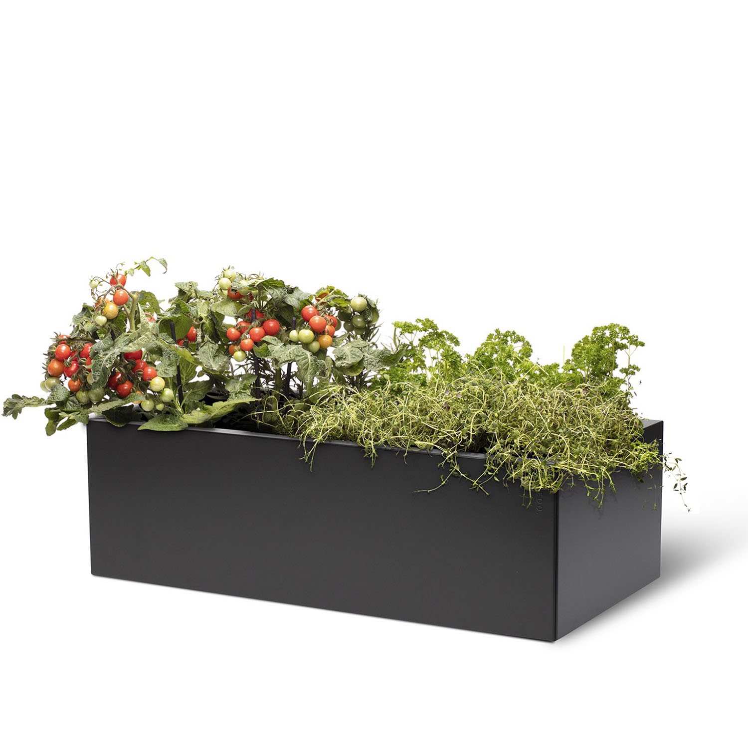 BEDD odlingslåda, Svart 80x40x25 cm