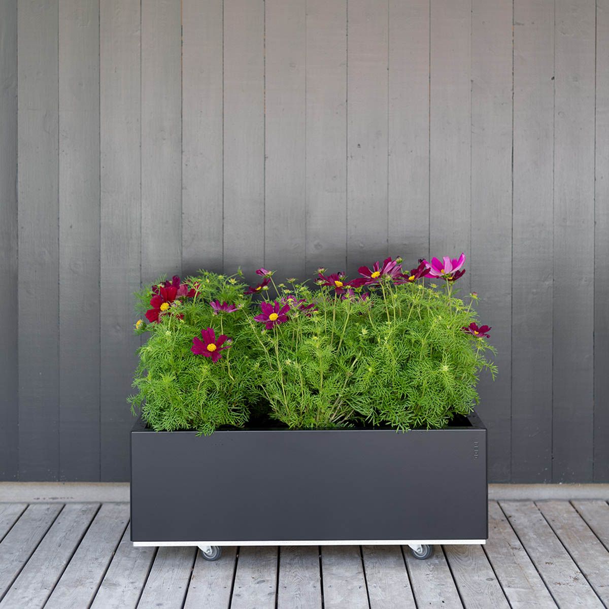 BEDD odlingslåda, Svart 80x40x25 cm