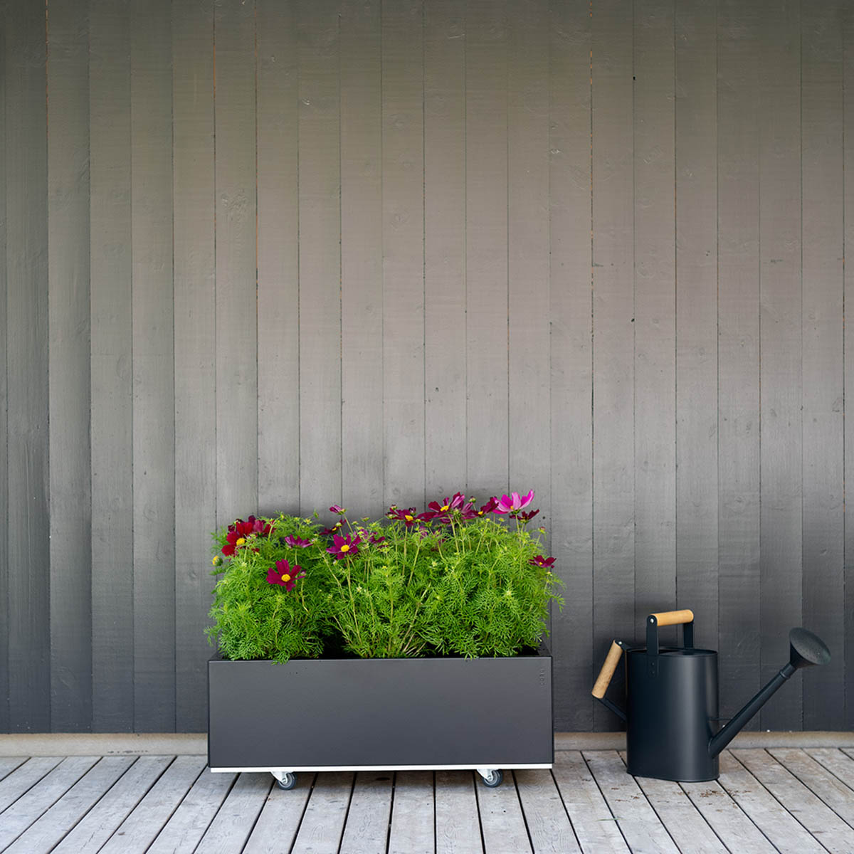 BEDD odlingslåda, Svart 80x40x25 cm