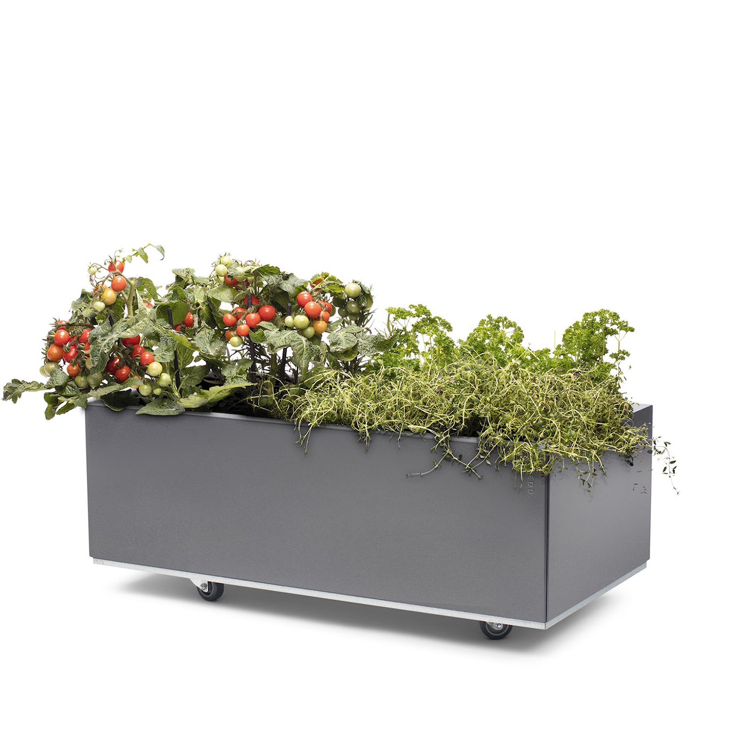 BEDD odlingslåda med ben/hjul, Grå 80x40x25 cm