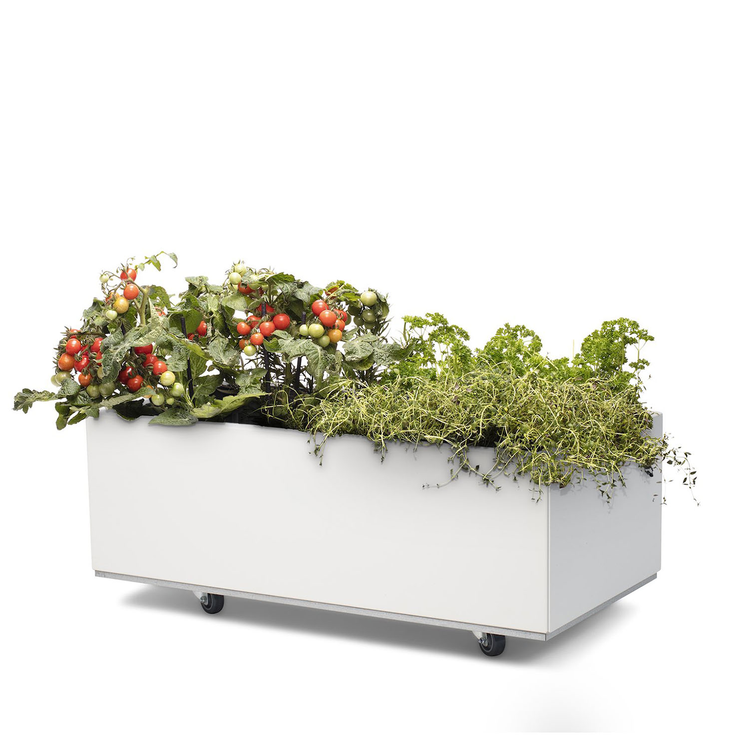BEDD odlingslåda med ben/hjul, Vit 80x40x25 cm