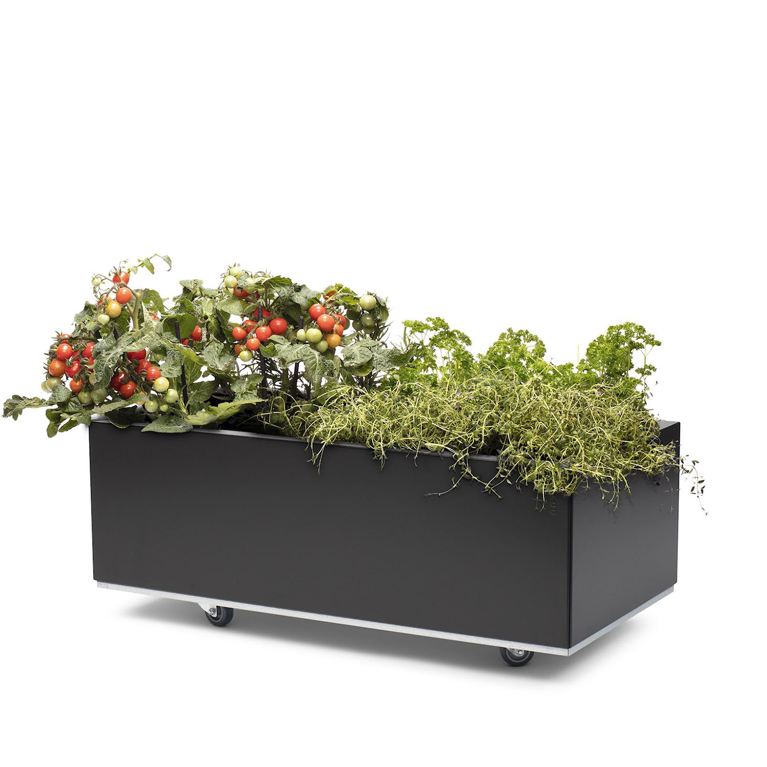 BEDD odlingslåda med ben/hjul, Svart 80x40x25 cm