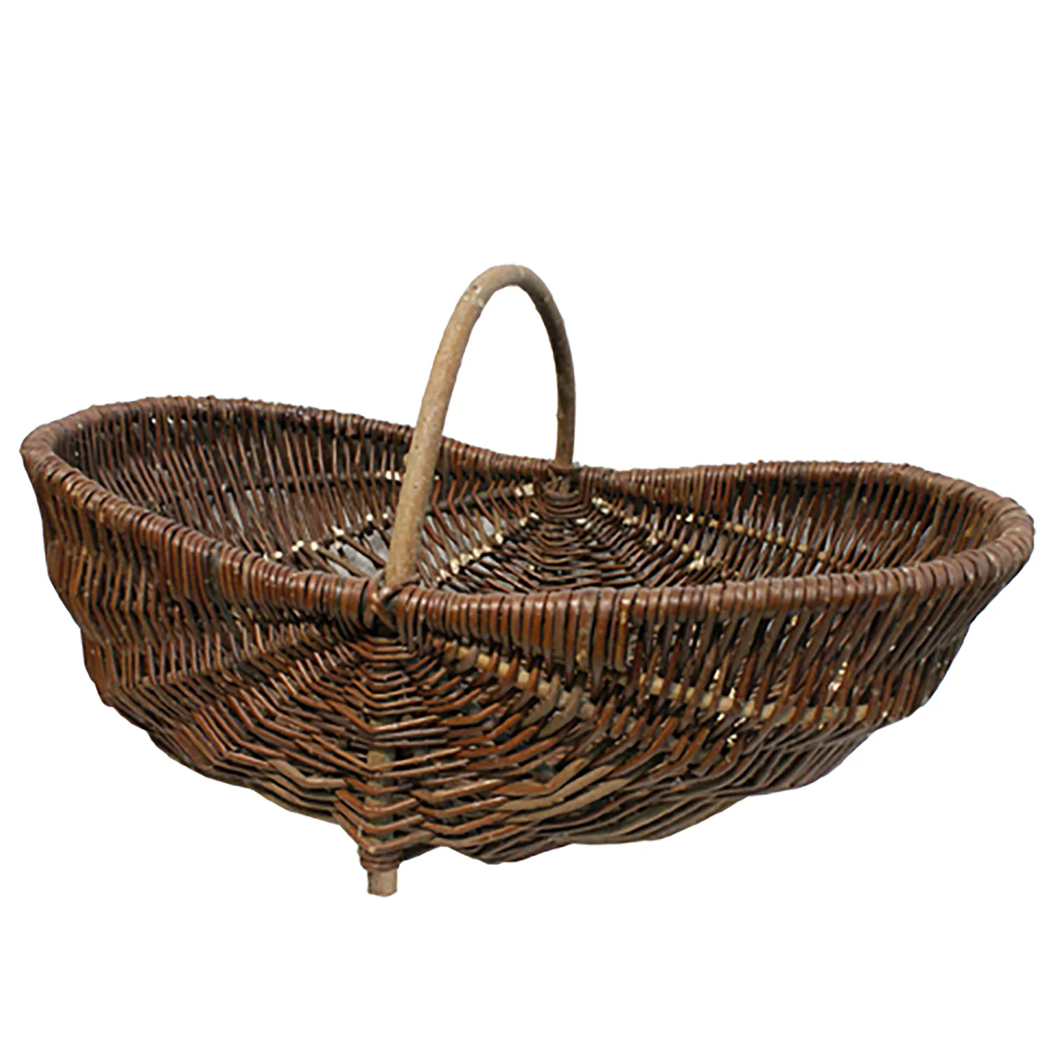 Svampkorg pilträ mellan