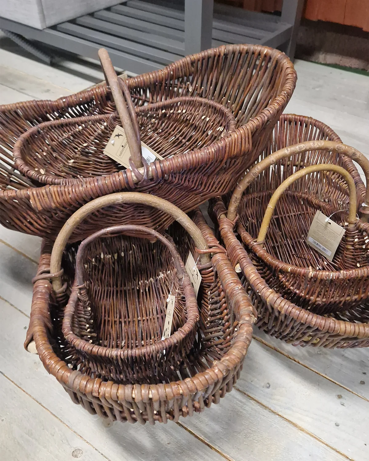 Svampkorg pilträ mellan