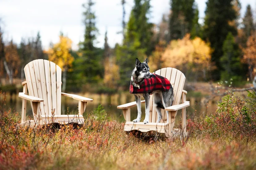 Classic adirondackstol cederträ
