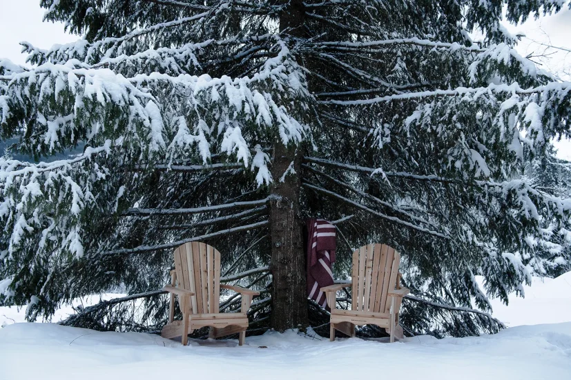 Classic adirondackstol cederträ