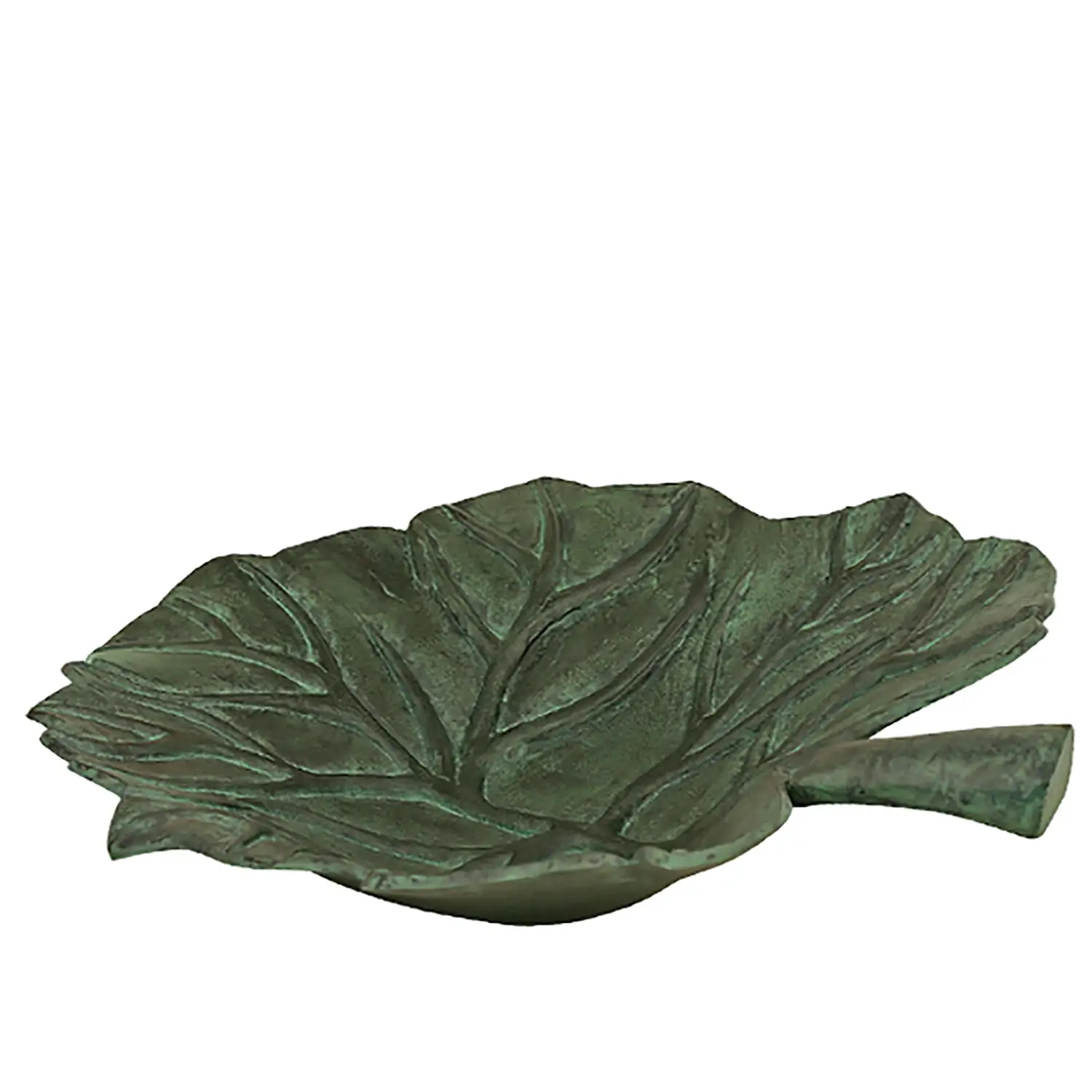 Product Image for Fat bladformat