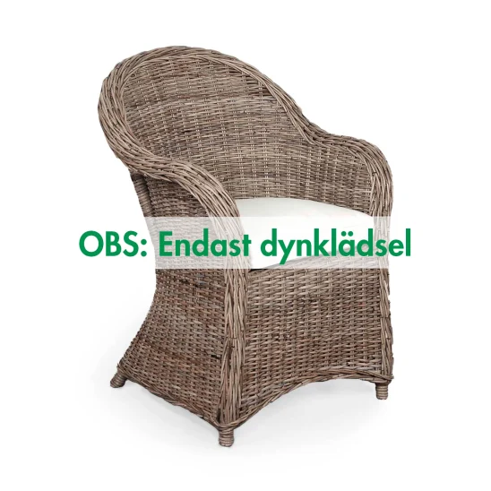 Klädsel till 1924 karmstol, nature