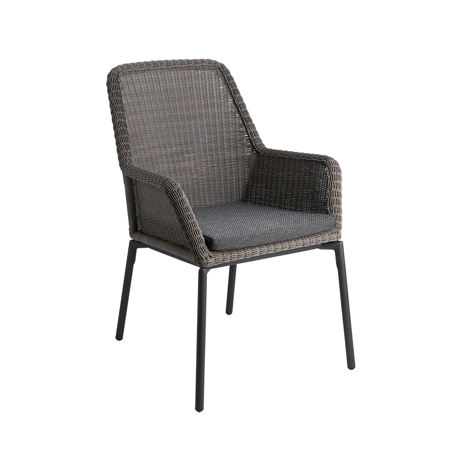 Product Image for Dimma matstol grå inkl. dyna