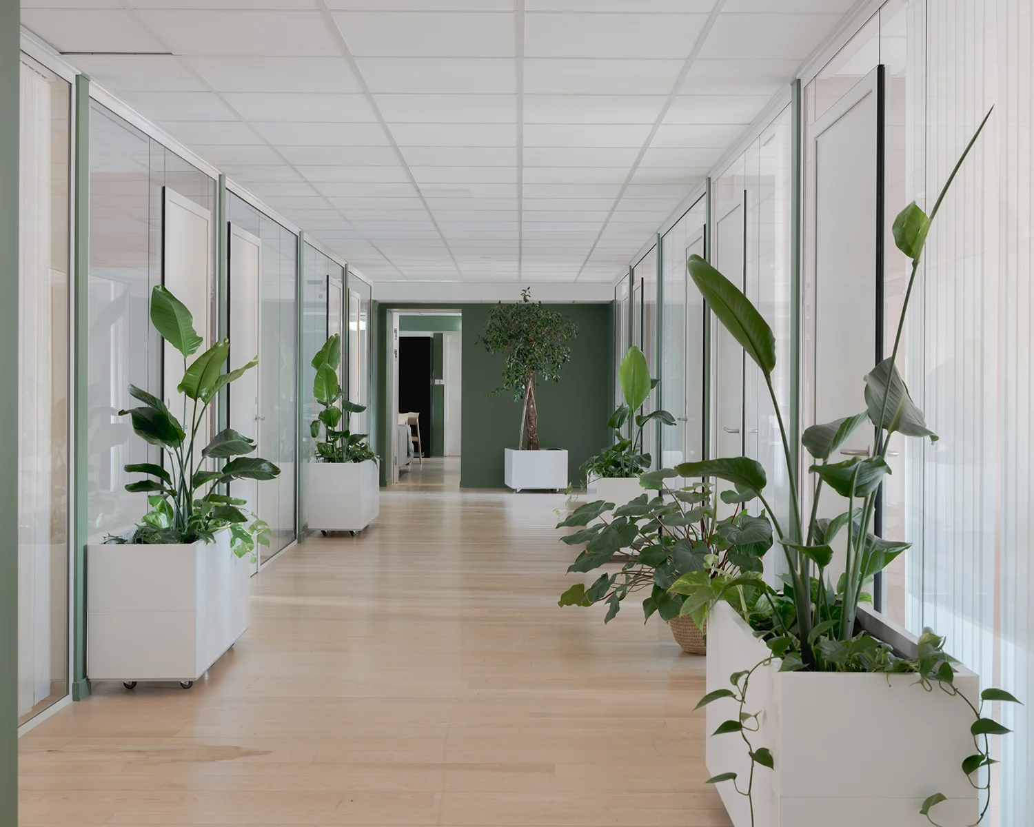 BEDD självbevattning inomhus 60x60x40 cm