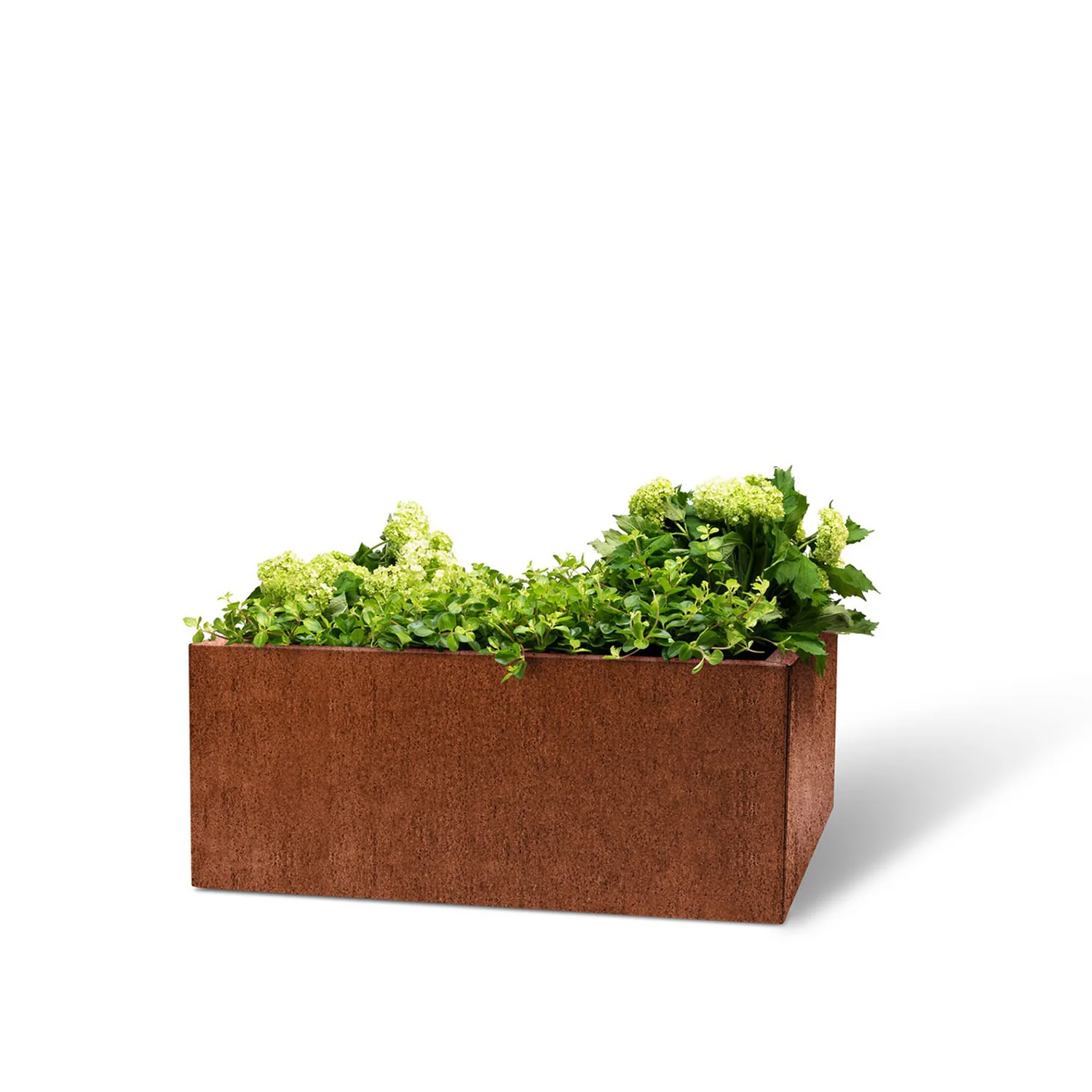 BEDD odlingslåda, naturrost 60x60x25 cm