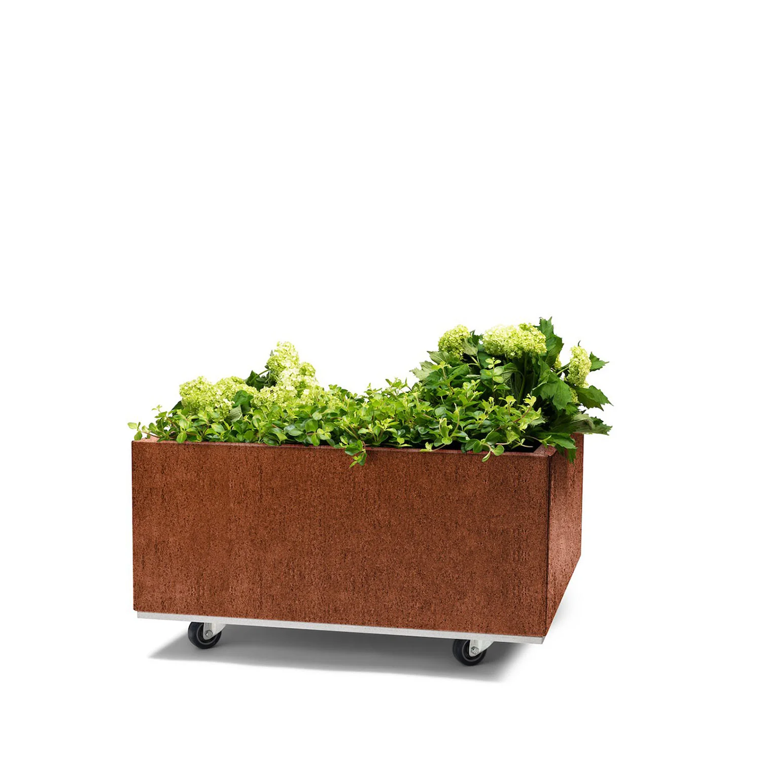 BEDD odlingslåda med ben/hjul, naturrost 60x60x25 cm