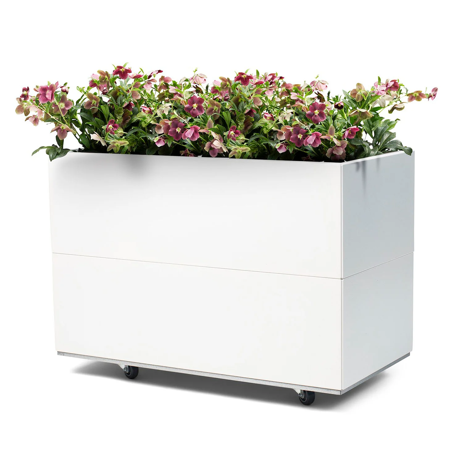 BEDD odlingslåda med ben/hjul, Vitlack 80x40x50 cm