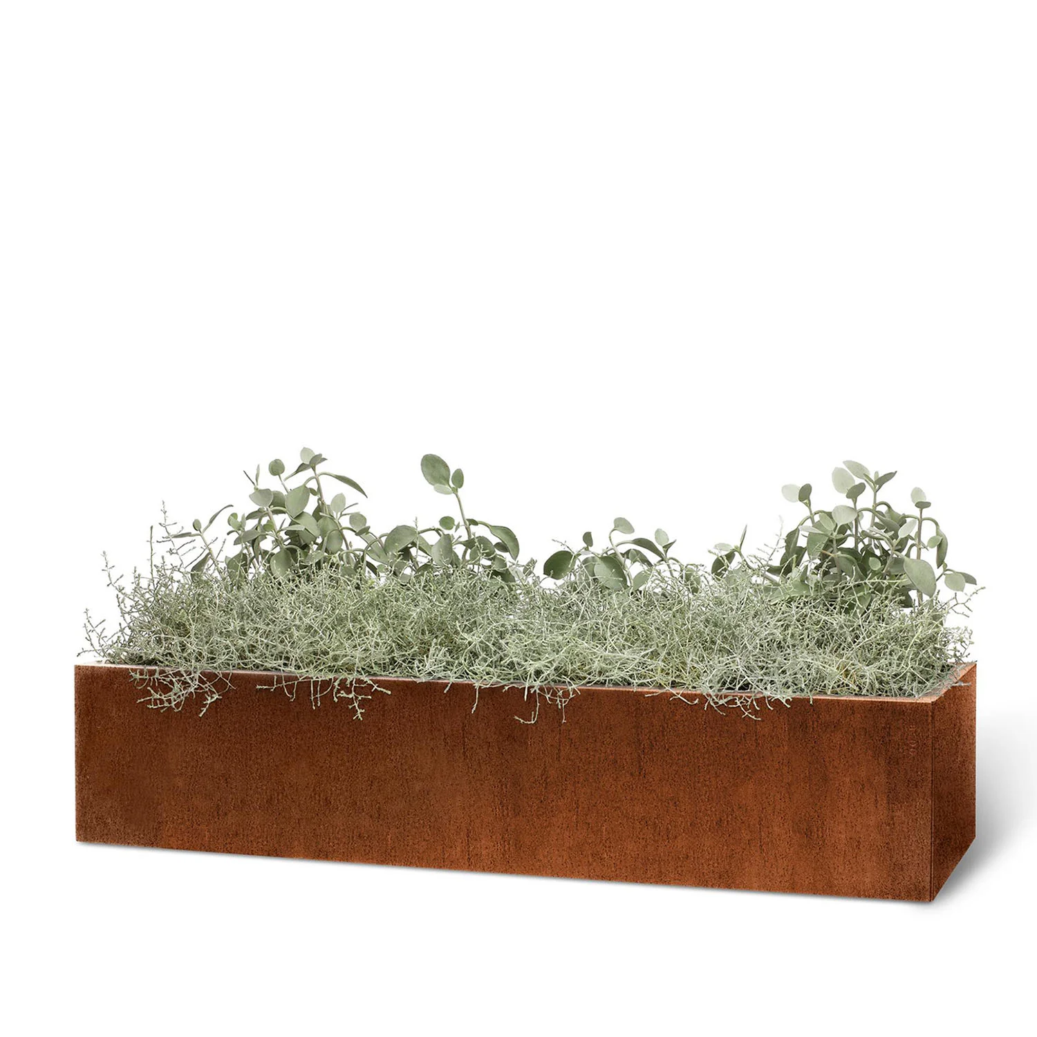 BEDD odlingslåda, naturrost 120x40x25 cm