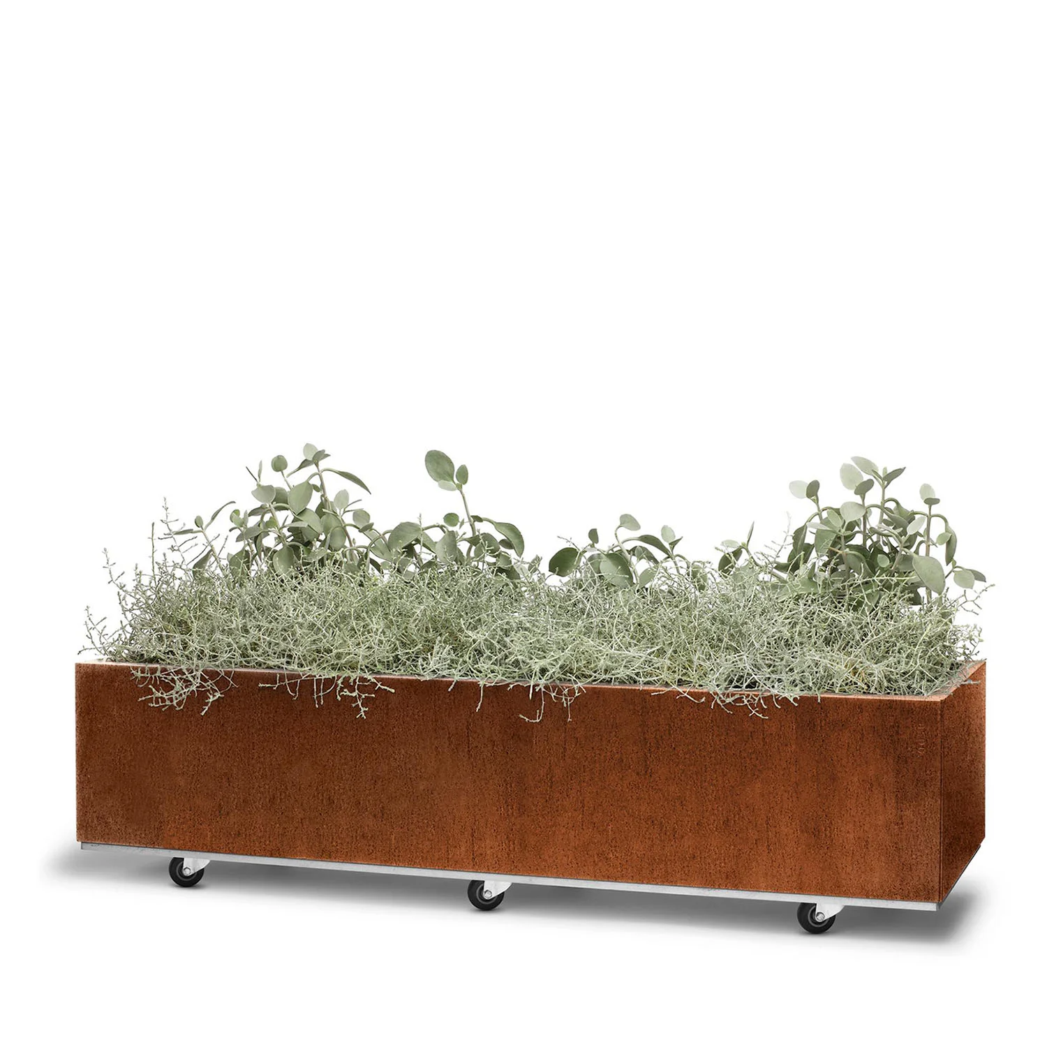 BEDD odlingslåda med hjul/ben, naturrost 120x40x25 cm