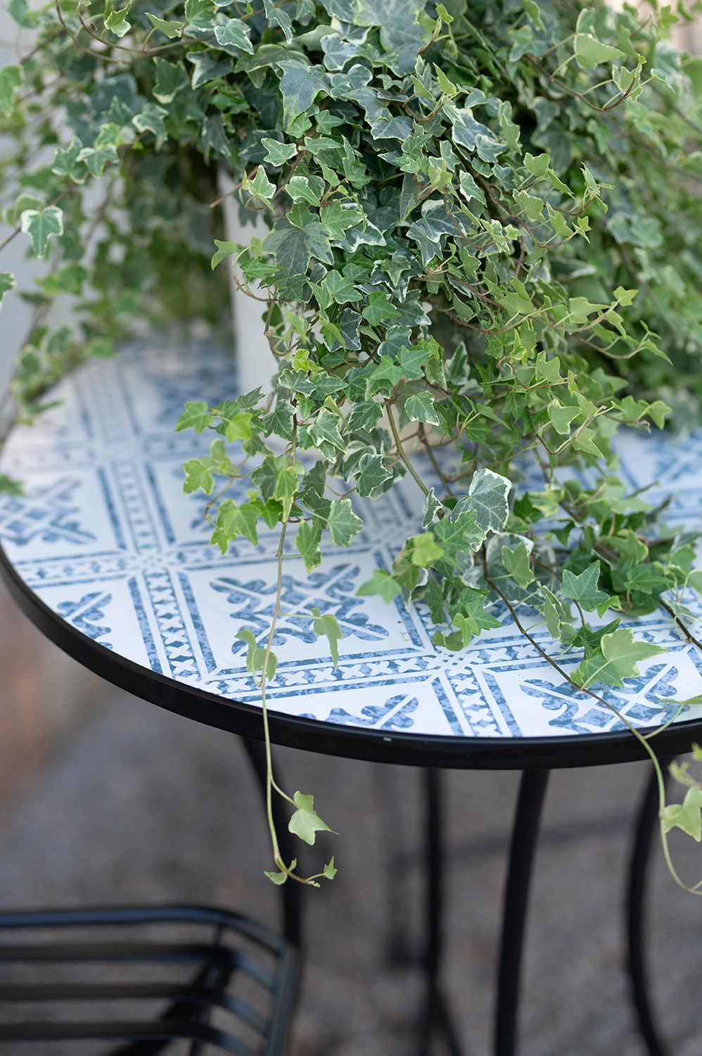 Venice caféset svart/vit/blå