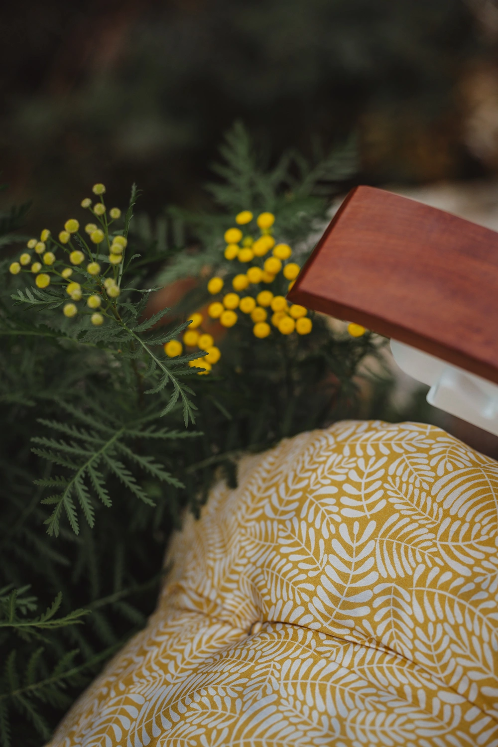 Varax Baden Baden stol med träarmstöd - vit/Ferndance