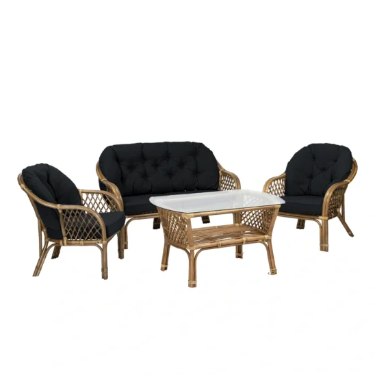 Sabina 2-sitsgrupp med svarta dynor.